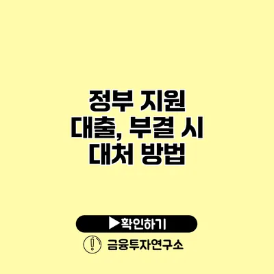 정부 지원 대출, 부결 시 대처 방법