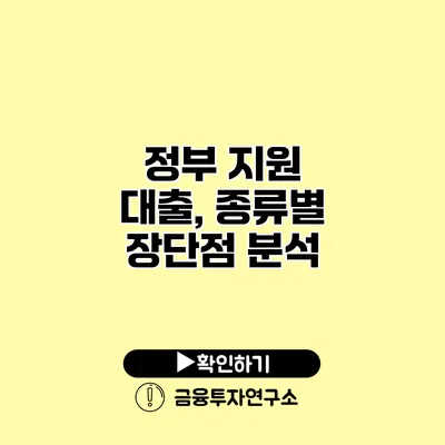 정부 지원 대출, 종류별 장단점 분석