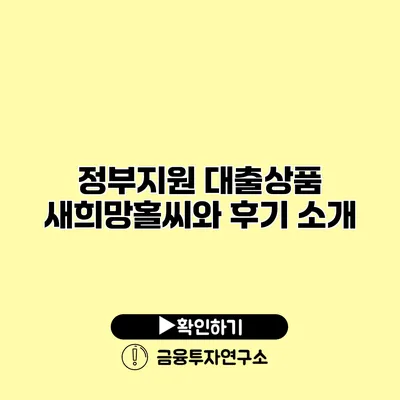 정부지원 대출상품 새희망홀씨와 후기 소개