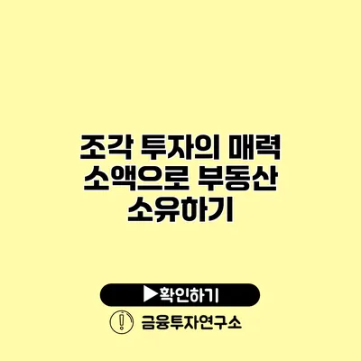 조각 투자의 매력 소액으로 부동산 소유하기