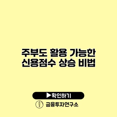 주부도 활용 가능한 신용점수 상승 비법