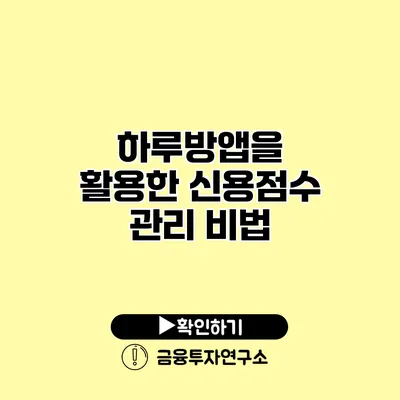 하루방앱을 활용한 신용점수 관리 비법