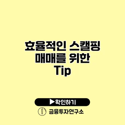 효율적인 스캘핑 매매를 위한 Tip