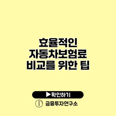 효율적인 자동차보험료 비교를 위한 팁