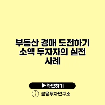 부동산 경매 도전하기 소액 투자자의 실전 사례