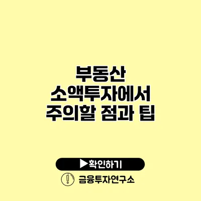 부동산 소액투자에서 주의할 점과 팁