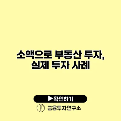 소액으로 부동산 투자, 실제 투자 사례