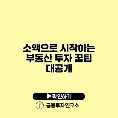 소액으로 시작하는 부동산 투자 꿀팁 대공개