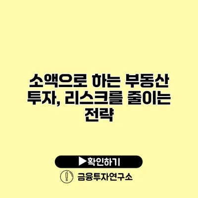소액으로 하는 부동산 투자, 리스크를 줄이는 전략