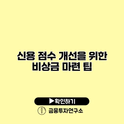 신용 점수 개선을 위한 비상금 마련 팁