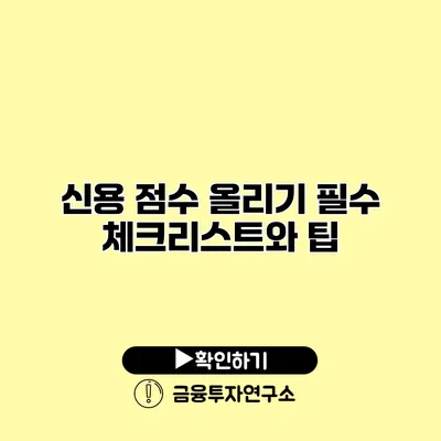 신용 점수 올리기 필수 체크리스트와 팁
