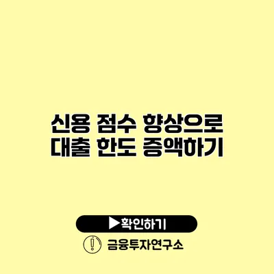 신용 점수 향상으로 대출 한도 증액하기