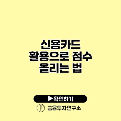 신용카드 활용으로 점수 올리는 법