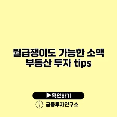 월급쟁이도 가능한 소액 부동산 투자 tips
