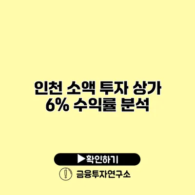 인천 소액 투자 상가 6% 수익률 분석