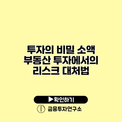 투자의 비밀 소액 부동산 투자에서의 리스크 대처법
